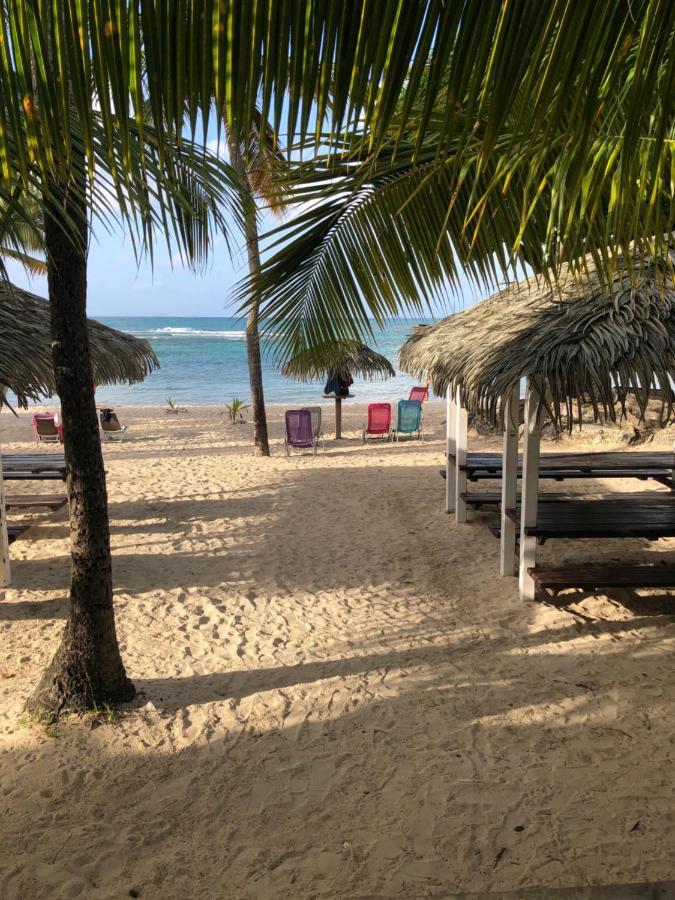Brin D'Ile Anse Des Rochers Vue Mer A 50 M De La Plage Et Piscine 생프랑수아 외부 사진