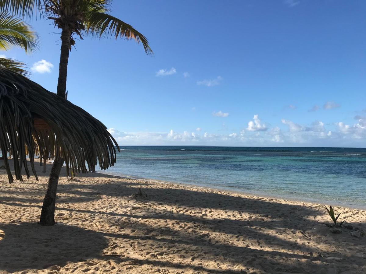 Brin D'Ile Anse Des Rochers Vue Mer A 50 M De La Plage Et Piscine 생프랑수아 외부 사진