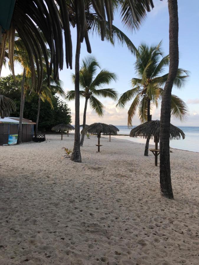 Brin D'Ile Anse Des Rochers Vue Mer A 50 M De La Plage Et Piscine 생프랑수아 외부 사진