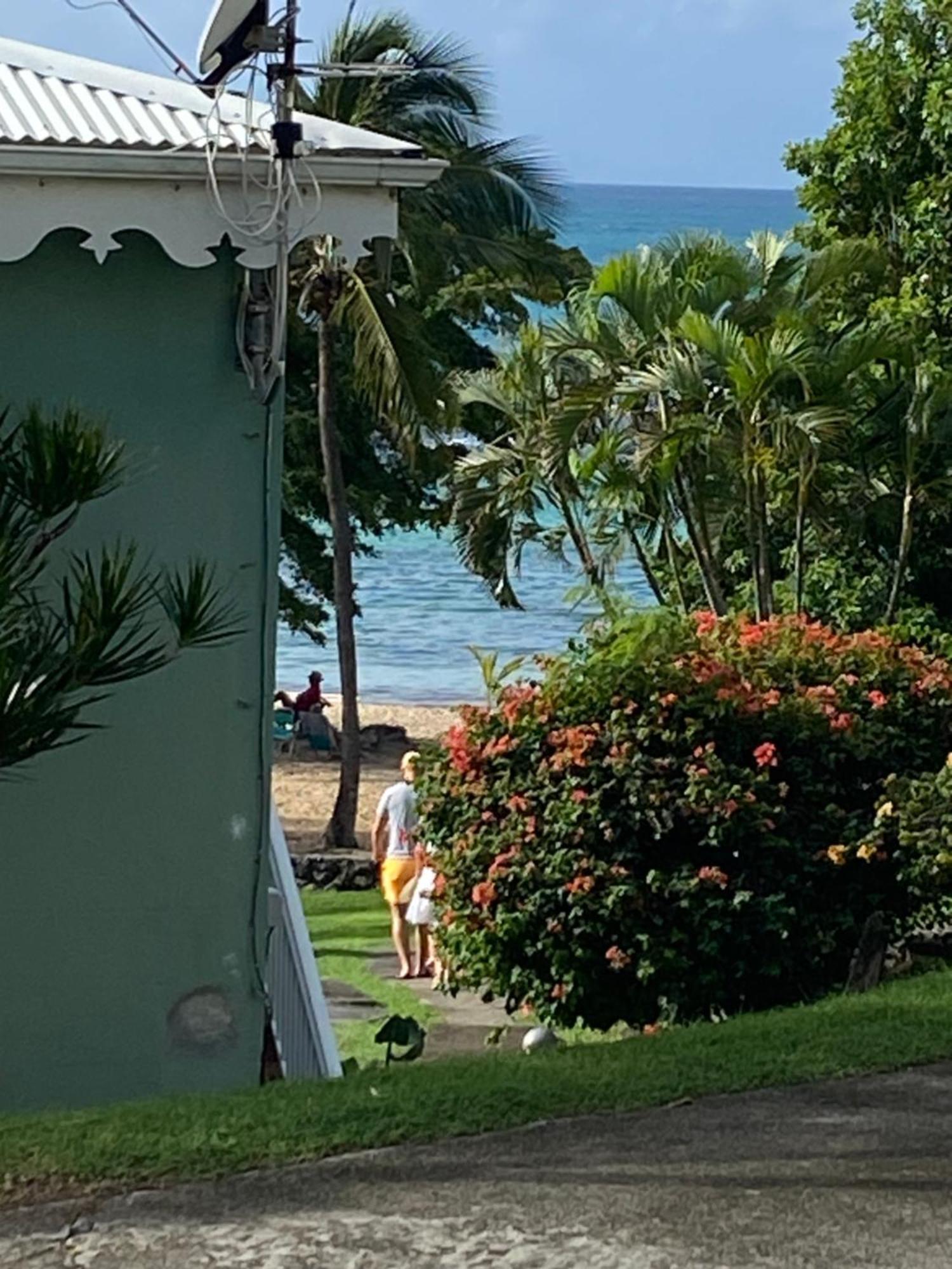 Brin D'Ile Anse Des Rochers Vue Mer A 50 M De La Plage Et Piscine 생프랑수아 외부 사진