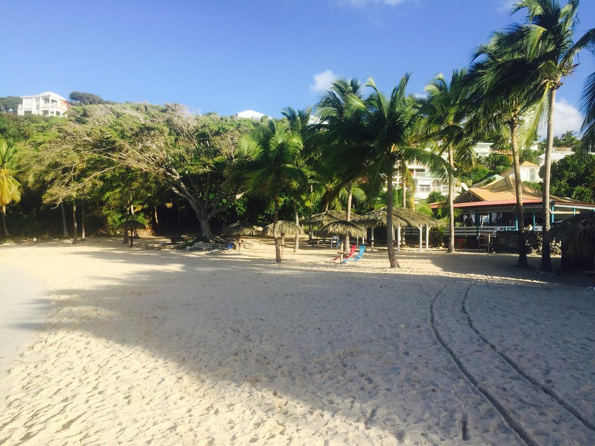 Brin D'Ile Anse Des Rochers Vue Mer A 50 M De La Plage Et Piscine 생프랑수아 외부 사진