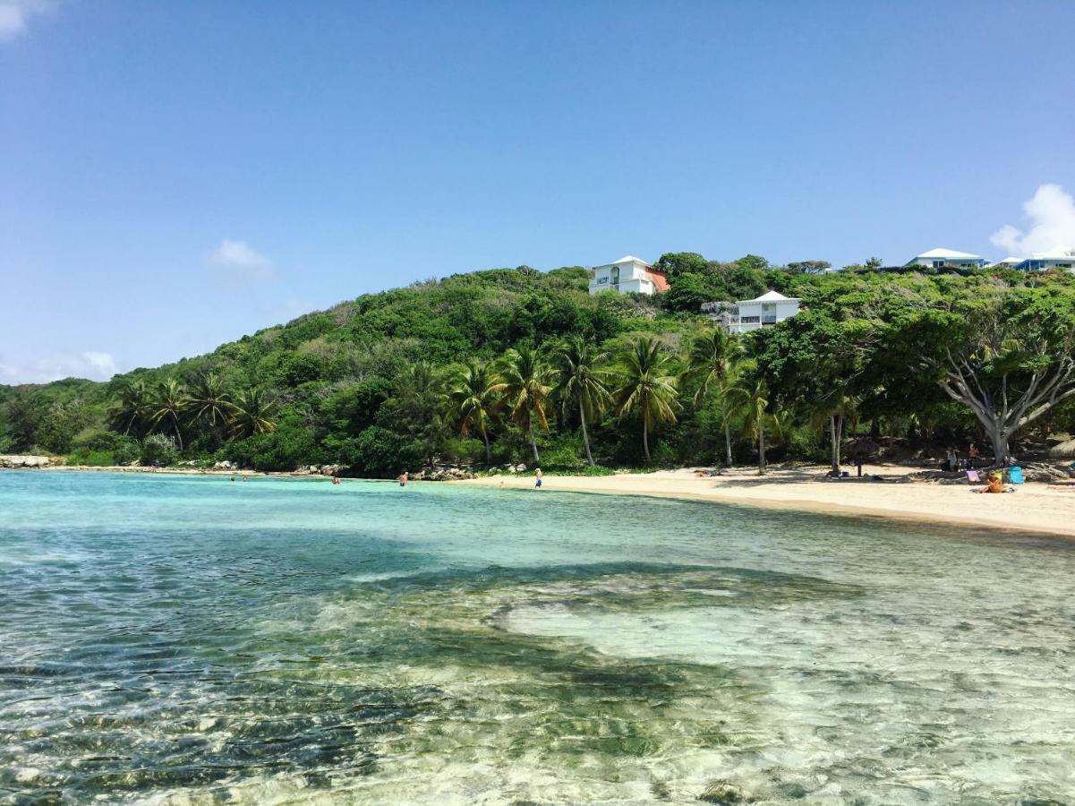 Brin D'Ile Anse Des Rochers Vue Mer A 50 M De La Plage Et Piscine 생프랑수아 외부 사진